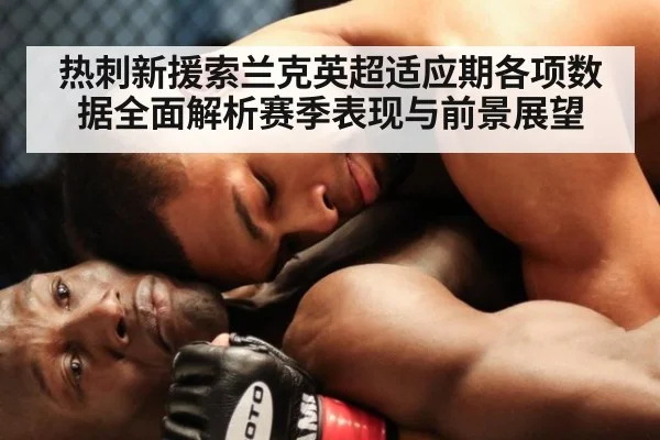 热刺新援索兰克英超适应期各项数据全面解析赛季表现与前景展望